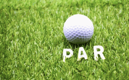 [88-MISC-EZPAR314] EZ Bundle - Par (3 1/4&quot;)
