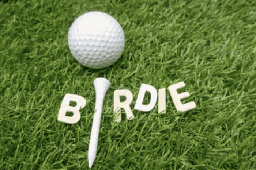 [88-MISC-EZBIRDIE314] EZ  Bundle - Birdie (3 1/4&quot;)