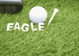 [88-MISC-EZEAGLE234] EZ Bundle - Eagle (2 3/4&quot;)